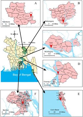 Environmental Factors and Genetic Diversity as Drivers of Early Gonadal Maturation: A Gonadosomatic Index Based Investigation on Indian Shad, Tenualosa ilisha Population of Bangladesh